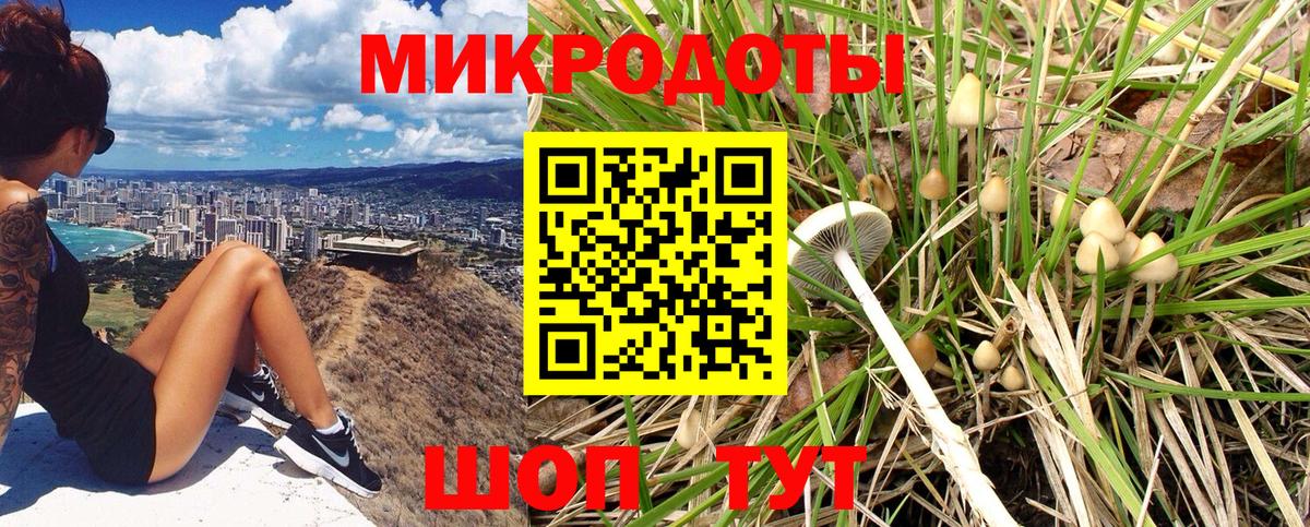 Кострома  Галлюциногенные грибы GOLDEN TEACHER  Вход с VPN 